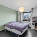 Rent 2 bedroom apartment in Gent