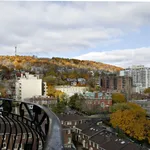  appartement avec 1 chambre(s) en location à Montreal