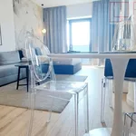 Rent 1 bedroom apartment of 34 m² in Szczecin