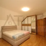 Rent 8 bedroom house in Prague