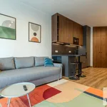 Rent 2 bedroom apartment of 36 m² in Katowice