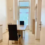 Rent 1 bedroom apartment in Brno