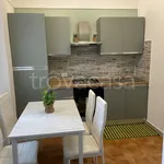 Rent 2 bedroom apartment of 55 m² in Casale Monferrato