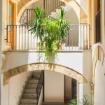 Rent 1 bedroom apartment in Palermo