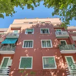 Rent 3 bedroom apartment of 83 m² in Roma