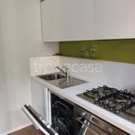 Rent 2 bedroom apartment of 50 m² in Biella