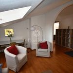 Rent 5 bedroom apartment of 80 m² in Pisa