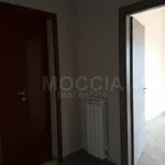 Rent 3 bedroom apartment of 100 m² in Caserta