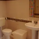 Rent 1 bedroom apartment of 40 m² in Bologna