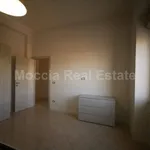 Rent 2 bedroom apartment of 50 m² in San Nicola La Strada