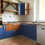 Rent 4 bedroom apartment of 90 m² in Livorno