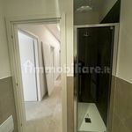 Rent 3 bedroom apartment of 85 m² in Bologna