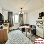 Rent 1 bedroom apartment in Pilsen