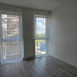 Rent 1 bedroom apartment in Pilsen