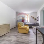 Rent 1 bedroom apartment of 50 m² in 13
 
 Biella