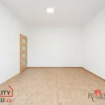 Rent 1 bedroom apartment in Plzeň