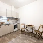 Rent 1 bedroom apartment in Ostrava