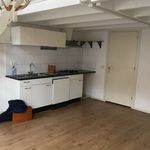 Rent 1 bedroom apartment of 63 m² in Leiden