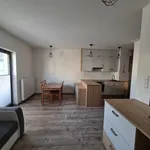 Rent 1 bedroom apartment of 29 m² in Szczecin