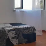 Alugar 2 quarto casa de 50 m² em Tomar