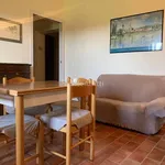 Rent 4 bedroom apartment of 58 m² in Siena