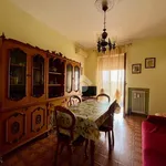 Rent 3 bedroom apartment of 80 m² in Turin