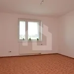 Pronajměte si 3 ložnic/e byt o rozloze 130 m² v Homole