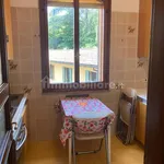 Rent 2 bedroom apartment of 58 m² in Bologna