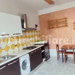 Rent 3 bedroom apartment of 80 m² in Turin