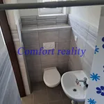 Rent 1 bedroom apartment in Český Krumlov