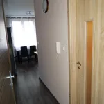 Rent 1 bedroom apartment in Cheb