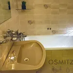 Rent 3 bedroom apartment in Capital City of Prague