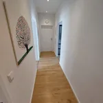 Rent 3 bedroom apartment of 80 m² in Düsseldorf