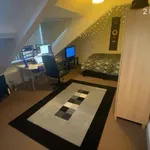 Rent 8 bedroom house in North East England