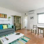 Rent 1 bedroom apartment of 60 m² in lisbon