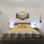 Rent 1 bedroom apartment in Milan