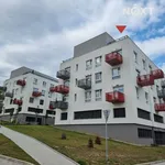 Rent 2 bedroom apartment in Beroun