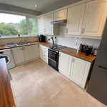 Rent 3 bedroom house in Belfast