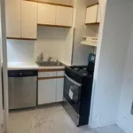 Rent 1 bedroom apartment in Queens