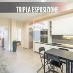 Rent 1 bedroom apartment of 17 m² in Milano