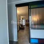 Rent 2 bedroom apartment of 50 m² in Turin