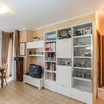 Rent 2 bedroom apartment of 70 m² in Roma