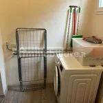 Rent 2 bedroom apartment of 55 m² in Lucca