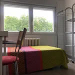 Alquilar 4 dormitorio apartamento en Salamanca