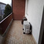 Rent 2 bedroom apartment in Modena