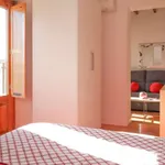 Rent 1 bedroom apartment in madrid