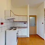 Pronájem byty 2+kk, 40 m2 - Chýnov - Keller Williams