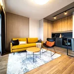 Rent 2 bedroom apartment of 45 m² in Łódź