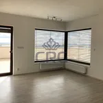 Rent 4 bedroom apartment of 111 m² in Brno