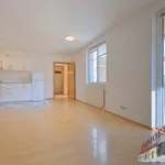 Miete 2 Schlafzimmer wohnung von 53 m² in Vienna